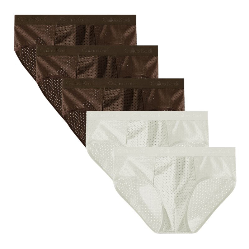 Lot de 5 Slips Antibactériens en Soie Glacée