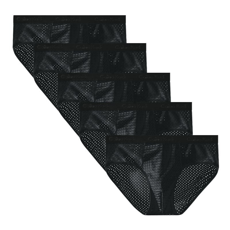 Lot de 5 Slips Antibactériens en Soie Glacée