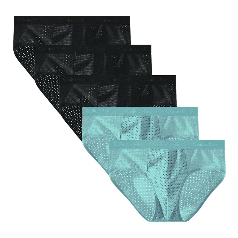 Lot de 5 Slips Antibactériens en Soie Glacée