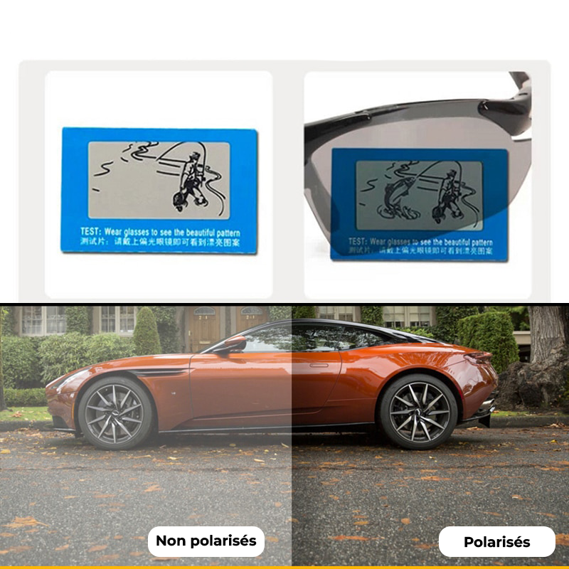 Lunettes de Soleil Polarisées