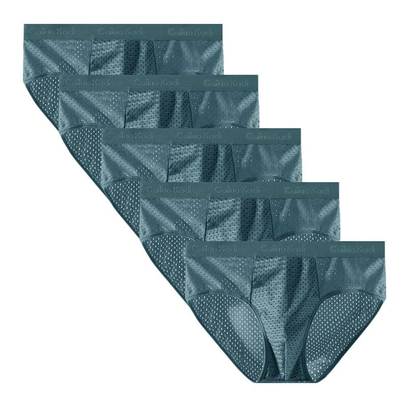 Lot de 5 Slips Antibactériens en Soie Glacée