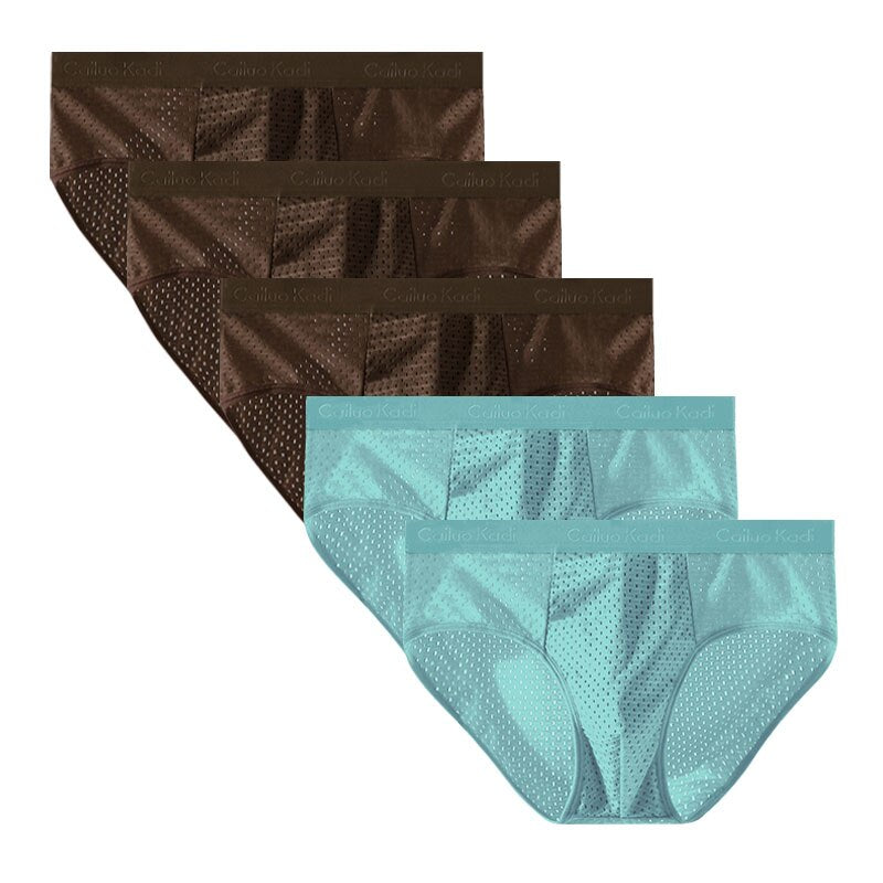 Lot de 5 Slips Antibactériens en Soie Glacée