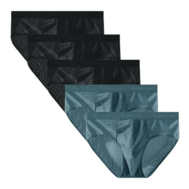 Lot de 5 Slips Antibactériens en Soie Glacée