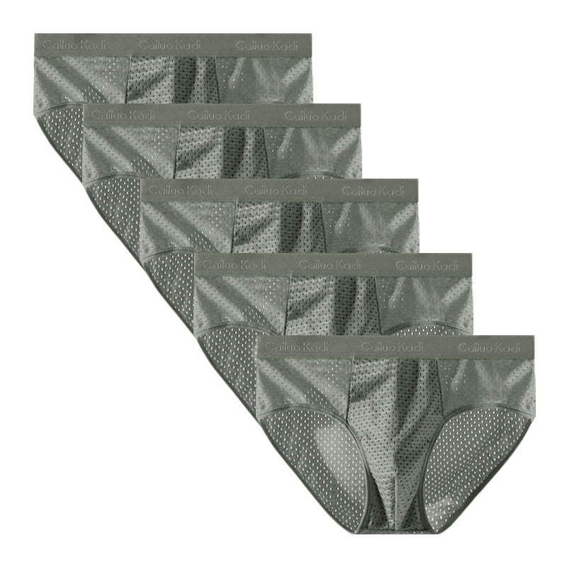 Lot de 5 Slips Antibactériens en Soie Glacée