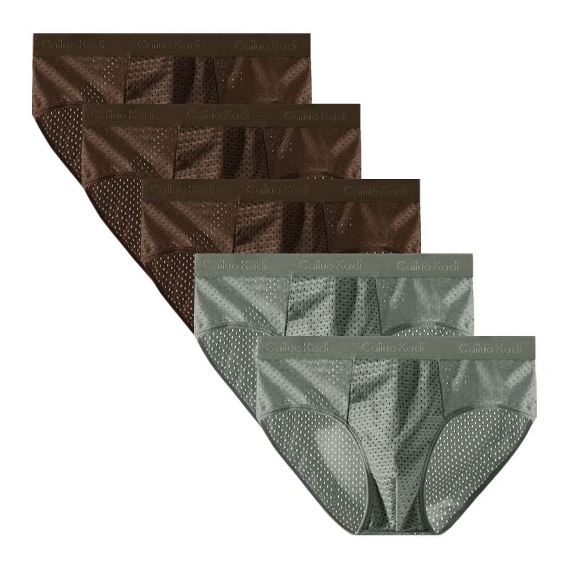 Lot de 5 Slips Antibactériens en Soie Glacée