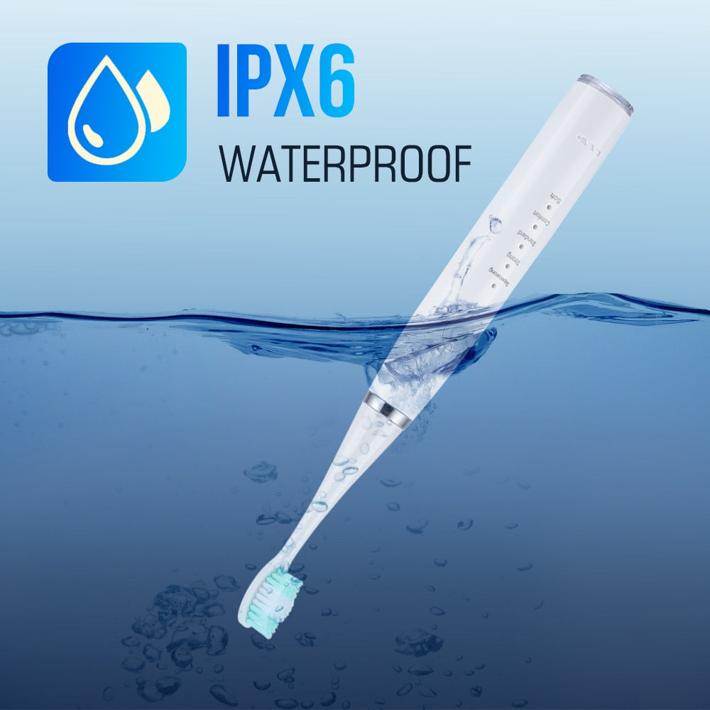 Kit Dentaire Électrique + Accessoires