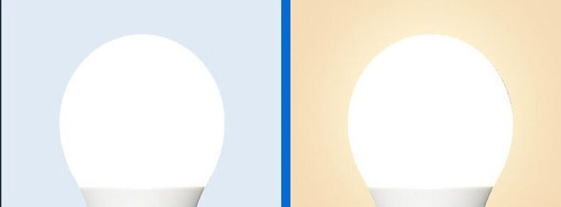 Lot de 10 ampoules LED basse consommation