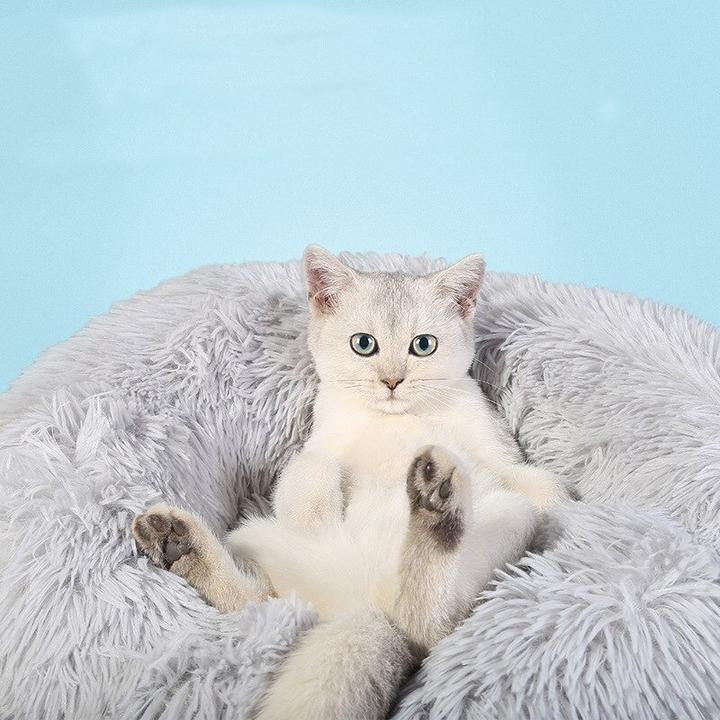 Coussin ultra confort pour animaux