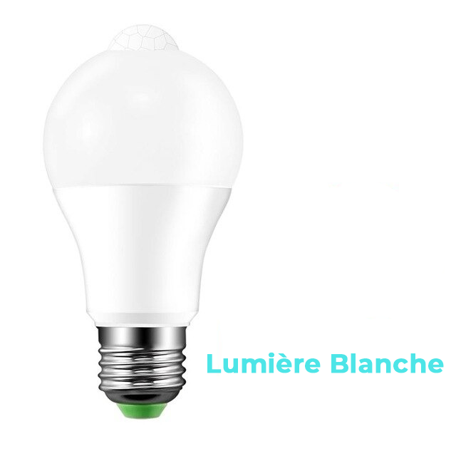 Lot de 2 ampoules avec détecteur de mouvement