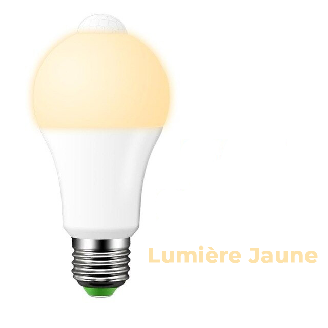 Lot de 2 ampoules avec détecteur de mouvement