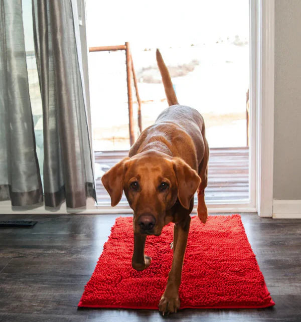 Tapis Microfibre Ultra-absorbant et Antidérapant Lavable pour Chien