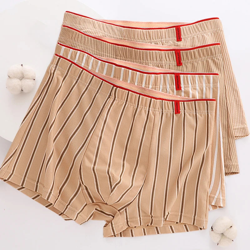 Lot de 4 Boxers en Coton à Rayures