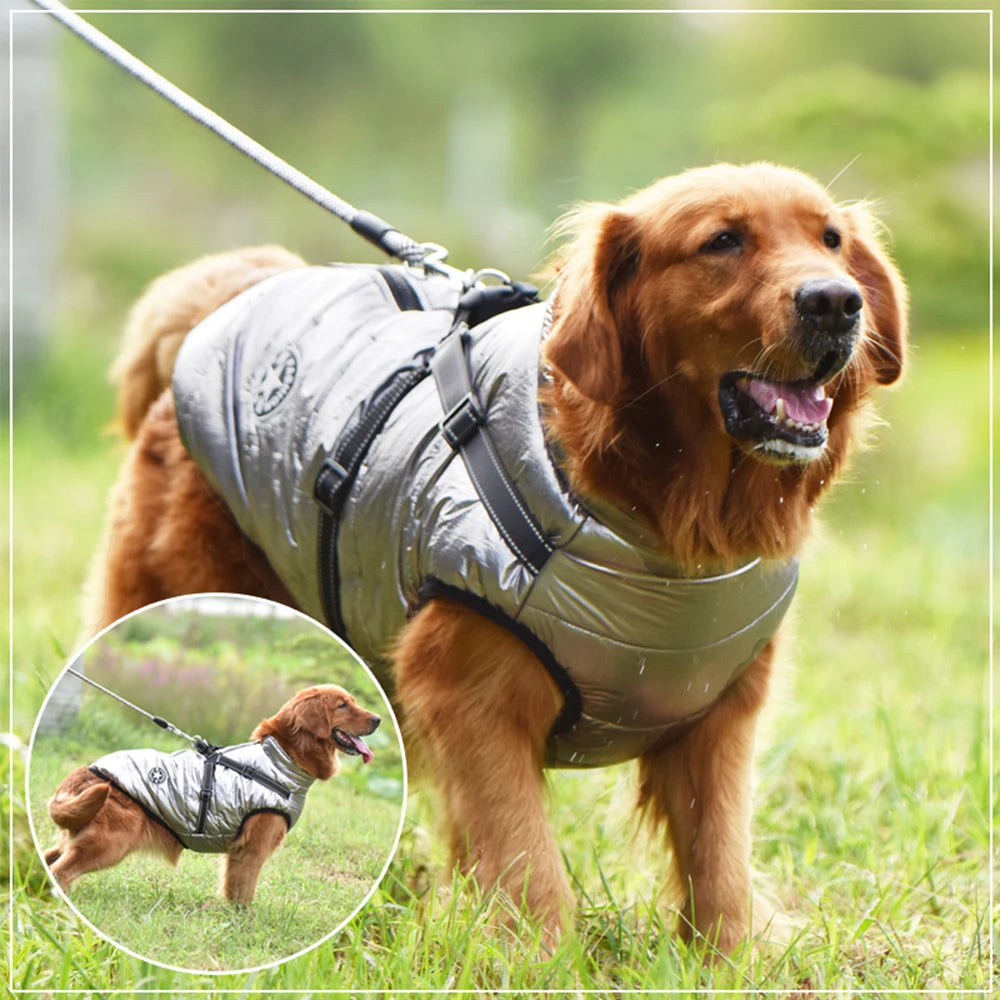 Doudoune pour Chiens avec Harnais Intégré - Jusquà 5XL