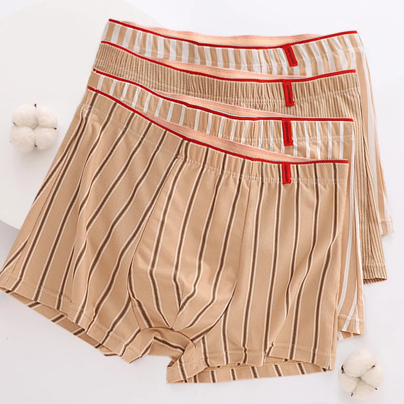 Lot de 4 Boxers en Coton à Rayures