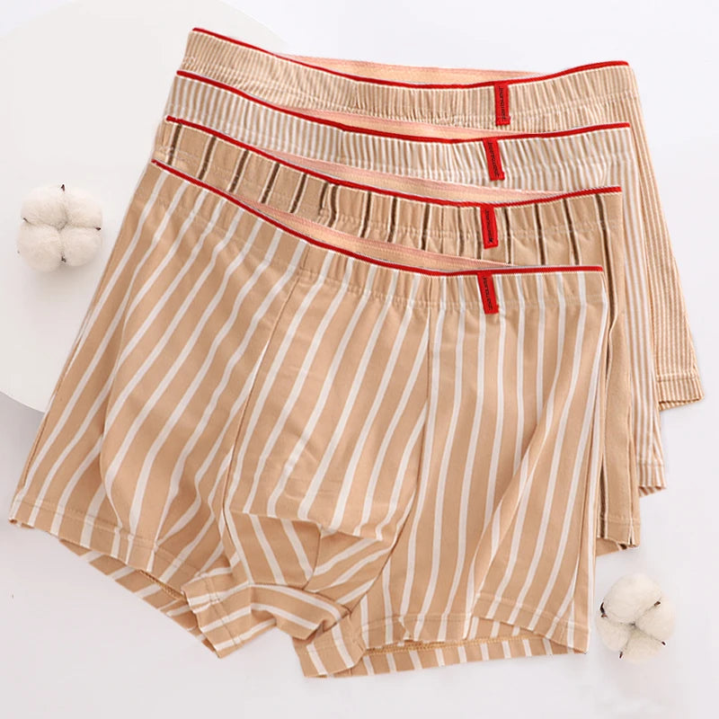 Lot de 4 Boxers en Coton à Rayures