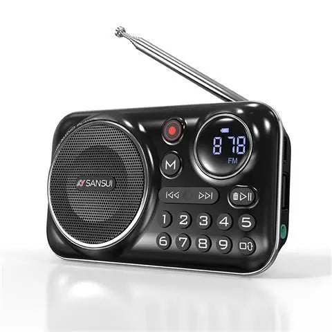 Mini Radio FM 
