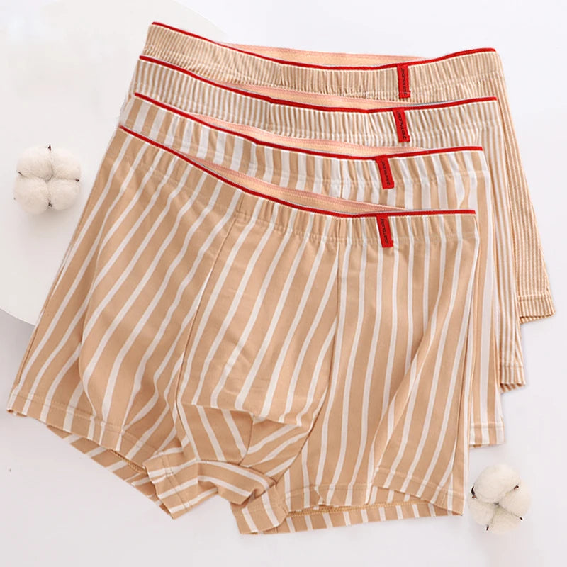 Lot de 4 Boxers en Coton à Rayures