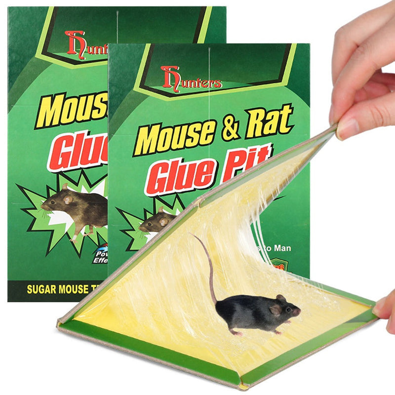 Pièges à Colle Anti Rongeurs