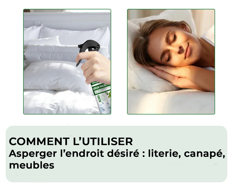 Spray Anti Punaises de Lit