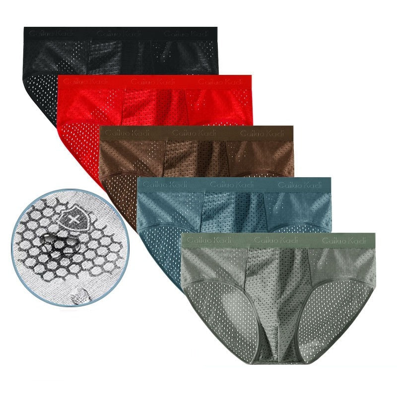 Lot de 5 Slips Antibactériens en Soie Glacée