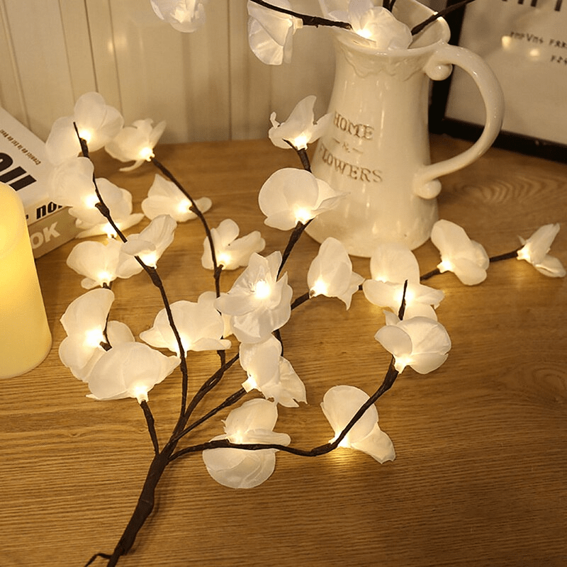 Bouquet d'Orchidées Lumineux